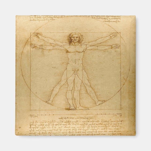 Vitruvian Man av Leonardo da Vinci Magnet (Framsidan)