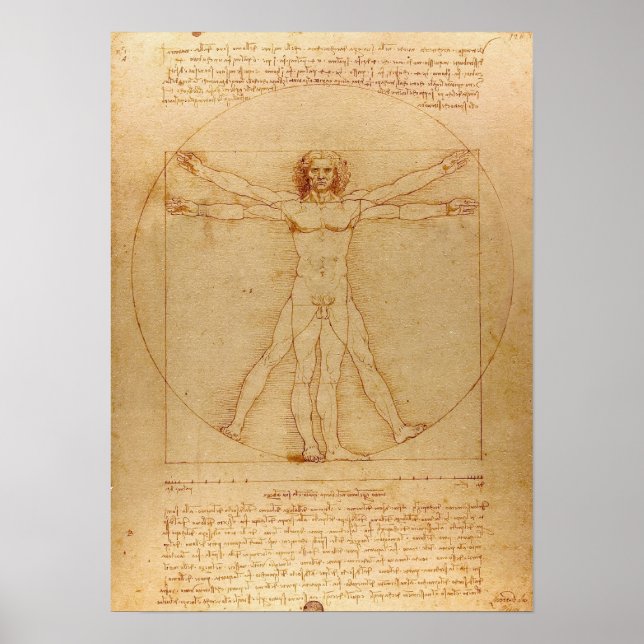 Vitruvian Man av Leonardo da Vinci Poster (Framsidan)