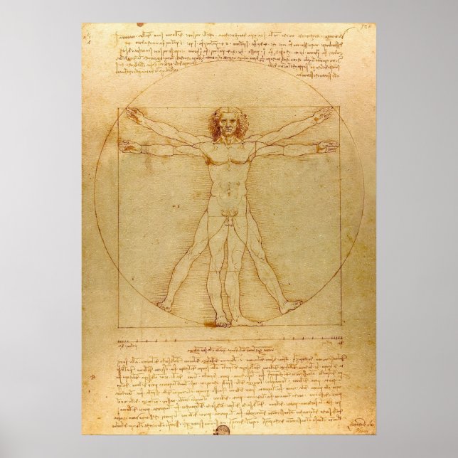 Vitruvian Man av Leonardo da Vinci Poster (Framsidan)
