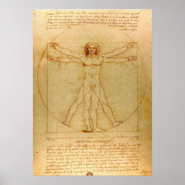 Vitruvian Man av Leonardo da Vinci Poster (Framsidan)