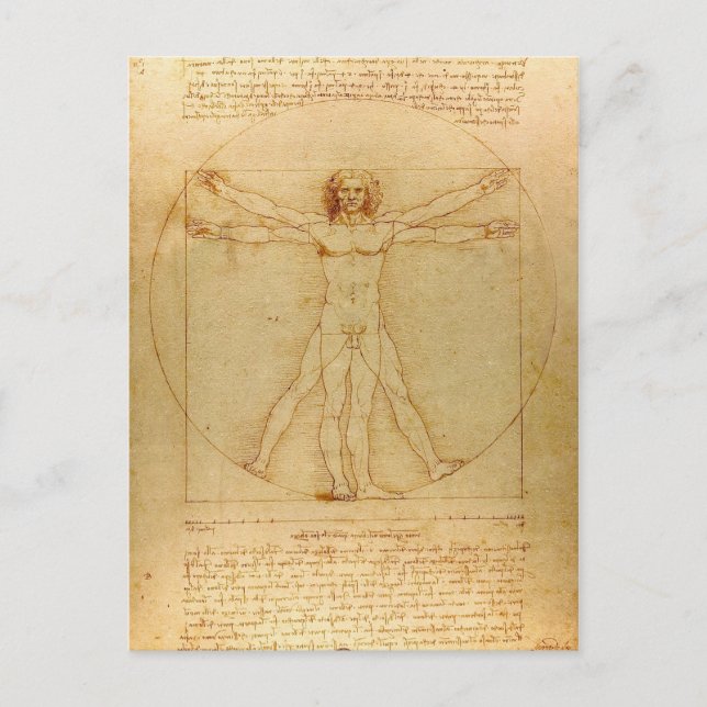 Vitruvian Man av Leonardo Da Vinci Vykort (Framsida)