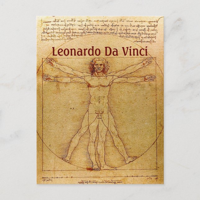 Vitruvian Man by Leonardo Da Vinci Vykort (Framsida)