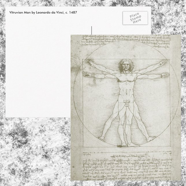 Vitruvian Man by Leonardo da Vinci Vykort (Skapare uppladdad)