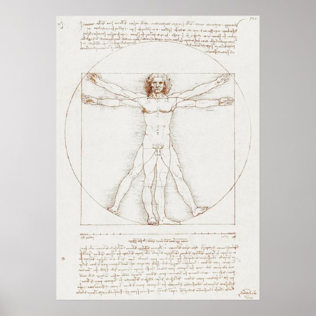 Vitruvian Man Da Vinci Poster (Framsidan)
