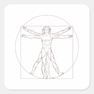 Vitruvian Man Fyrkantigt Klistermärke