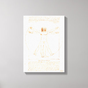 Vitruvian Man   Leonardo da Vinci   Canvastryck