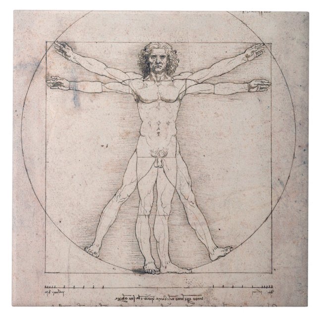 Vitruvian Man, Leonardo da Vinci Kakelplatta (Framsidan)