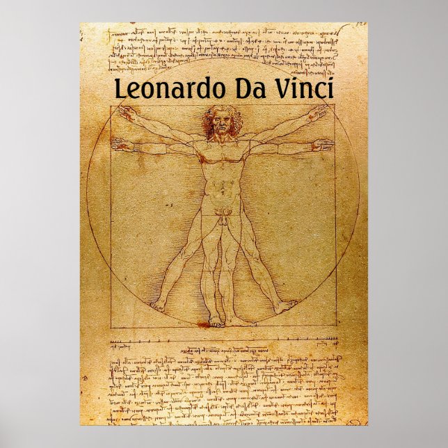 Vitruvian Man-Leonardo Da Vinci Poster (Framsidan)