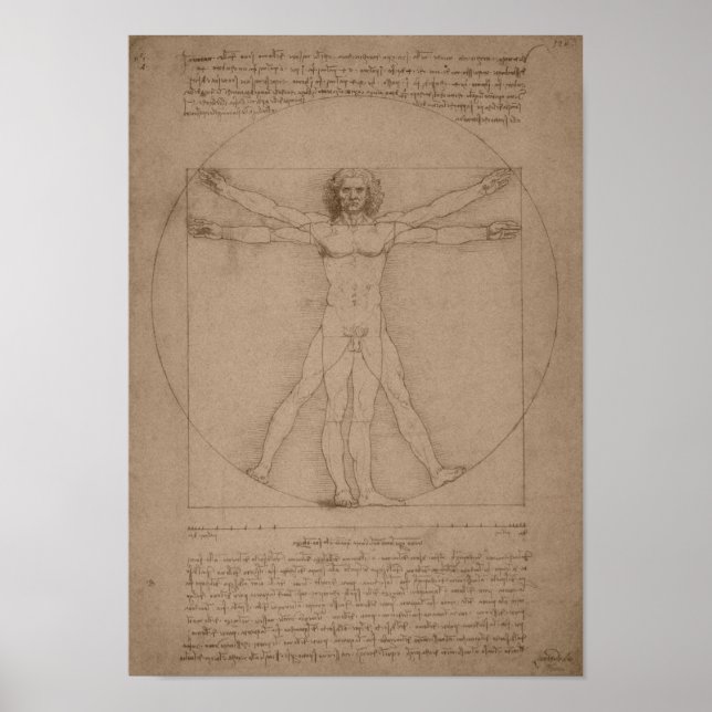 Vitruvian Man - Leonardo da Vinci Poster (Framsidan)