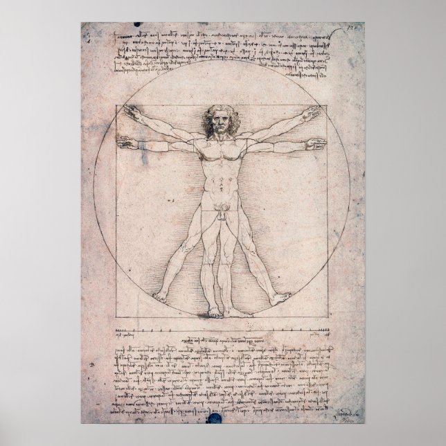 Vitruvian Man, Leonardo da Vinci Poster (Framsidan)