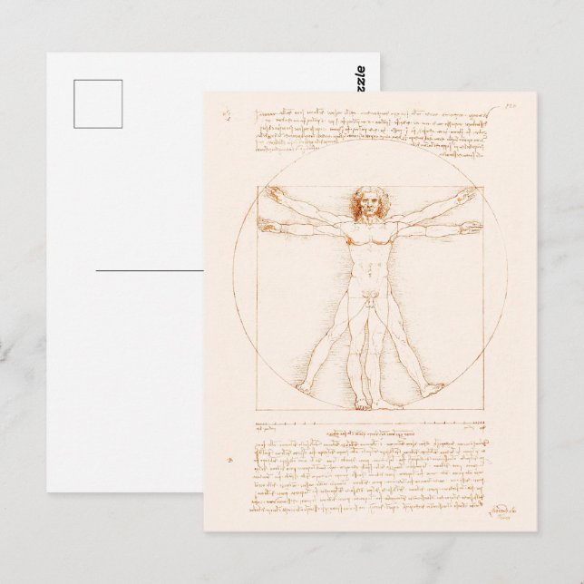 Vitruvian Man | Leonardo da Vinci | Vykort (Fram/baksida)