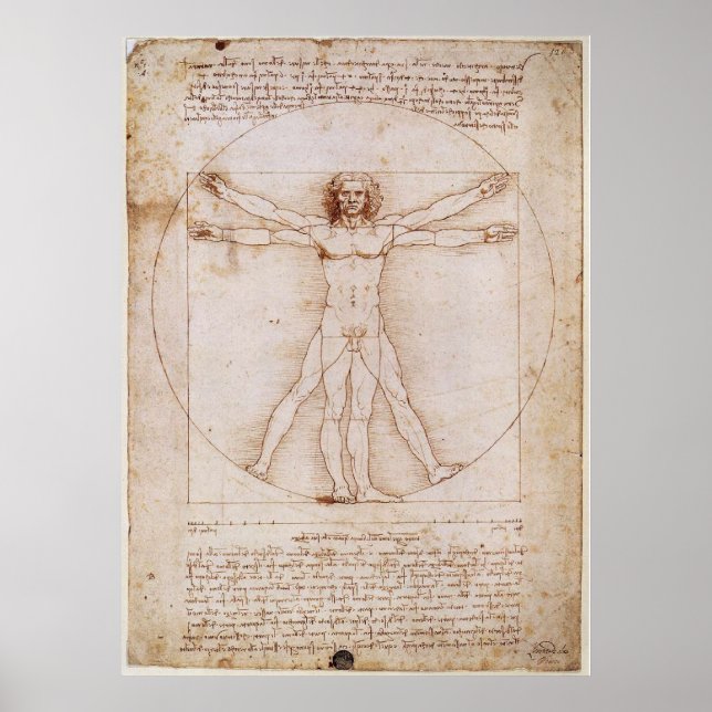 Vitruvian Man Poster (Framsidan)