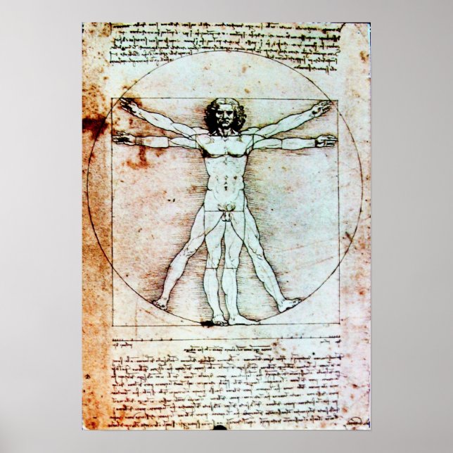 VITRUVIAN MAN POSTER (Framsidan)