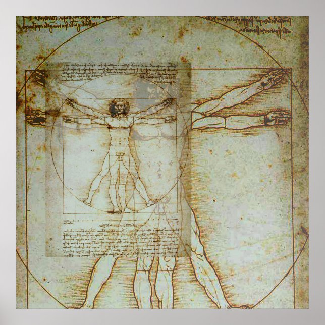 Vitruvian Man Poster (Framsidan)