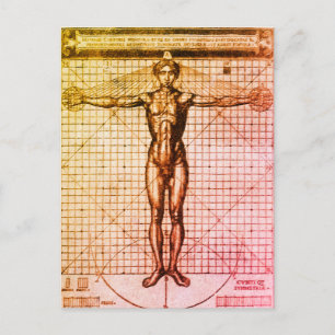 Vitruvian Man (Vitruvius: De architectura) Postcar Vykort