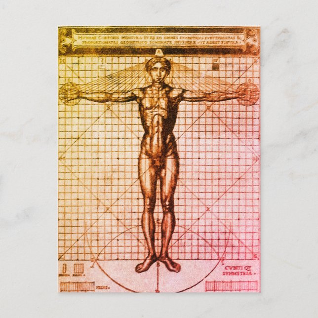 Vitruvian Man (Vitruvius: De architectura) Postcar Vykort (Framsida)