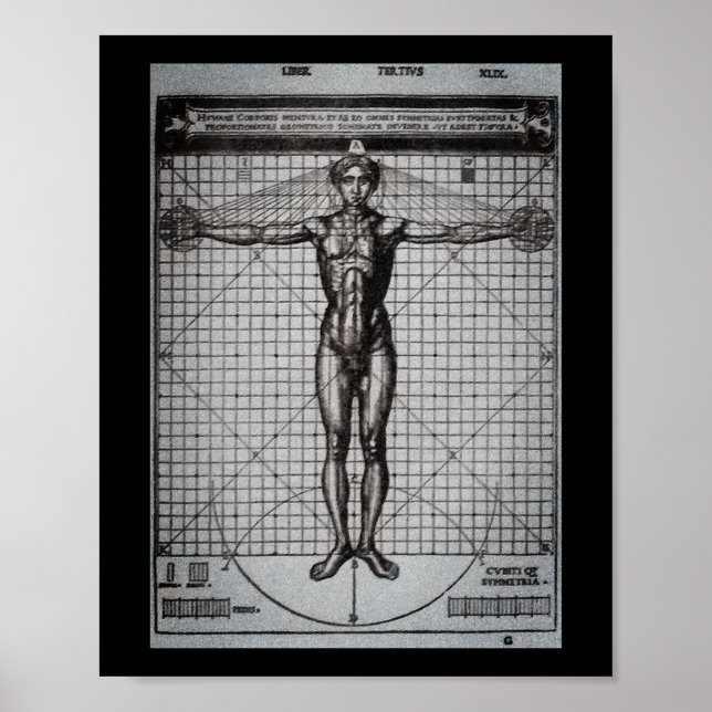 Vitruvian Man (Vitruvius: De architectura) Poster (Framsidan)