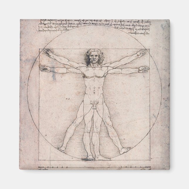 Vitruvian ManVitruvian Man, Leonardo da Vinci Magnet (Framsidan)