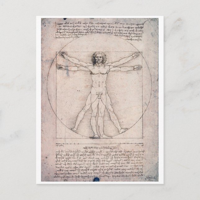 Vitruvian ManVitruvian Man, Leonardo da Vinci Vykort (Framsida)