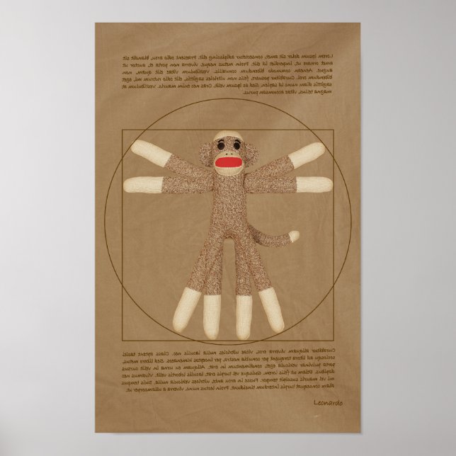 Vitruvian Monkey Poster (Framsidan)