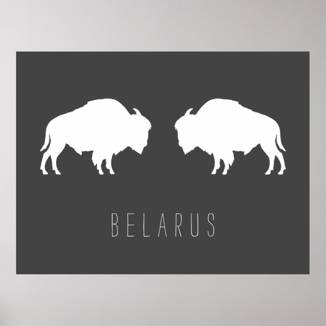 Vitryska Bison З у б р Б е л auktioner Poster (Framsidan)