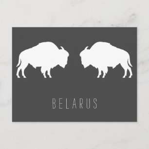 Vitryska Bison З у б р Б е л auktioner Vykort