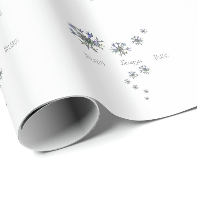 Vitryssland Б е л а р с Maj budg budfinans auktion Presentpapper (Rullad Hörn)