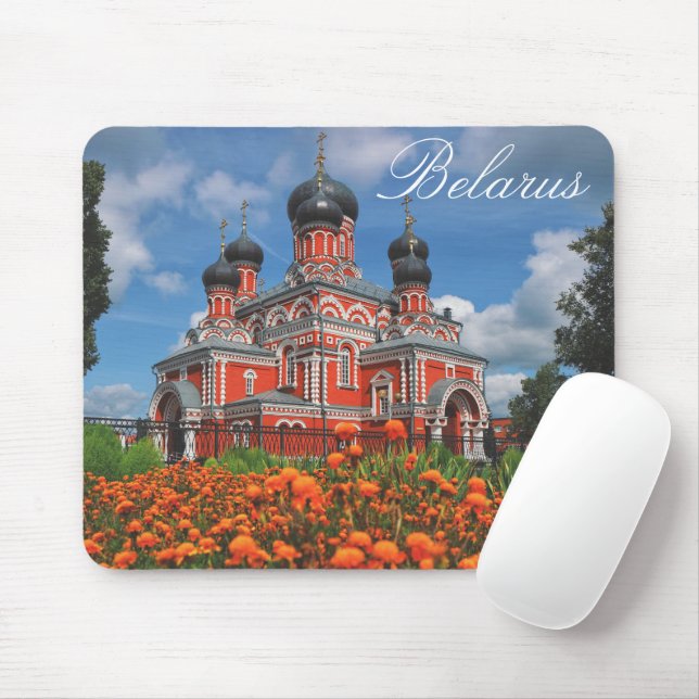 Vitryssland Б е л а р у с Baryszejovs kyrka Mouse  Musmatta (Med mus)