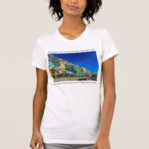 Vitryssland Б е л а р у с Minsk augorisation budfi T Shirt