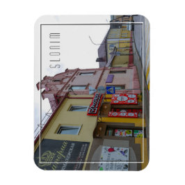 Vitryssland Slonim Stad Stadsvy Arkitektur Magnet