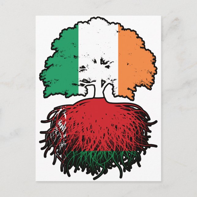 Vitryssland Vitryska Irish Ireland Träd Roots Flag Vykort (Framsida)