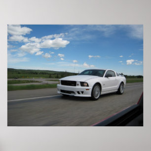 VitSaleen Mustang Poster