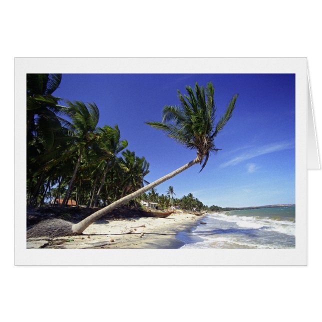 Vitsandstrand med Handflatan Träd, Mui Ne (Vietnam Hälsningskort (Framsidan Horizontal)
