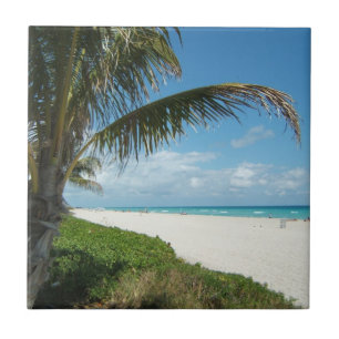VitSandstrand w/Palm Kakelplatta