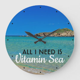 Vitsandstrandsköldpaddor vatten behöver vitaminhav stor klocka