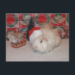 VitSanta gris Helg Vykort<br><div class="desc">Försökskaninjulsamling</div>