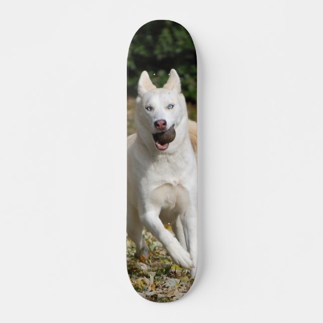 Vitsiberian huskyskateboard mini skateboard bräda 18,7 cm (Framsida)