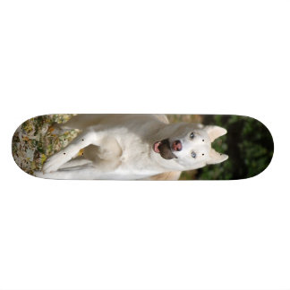 Vitsiberian huskyskateboard mini skateboard bräda 18,7 cm