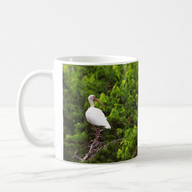 Vitsidig Ibis Fågel Foto Mugg (Vänster)