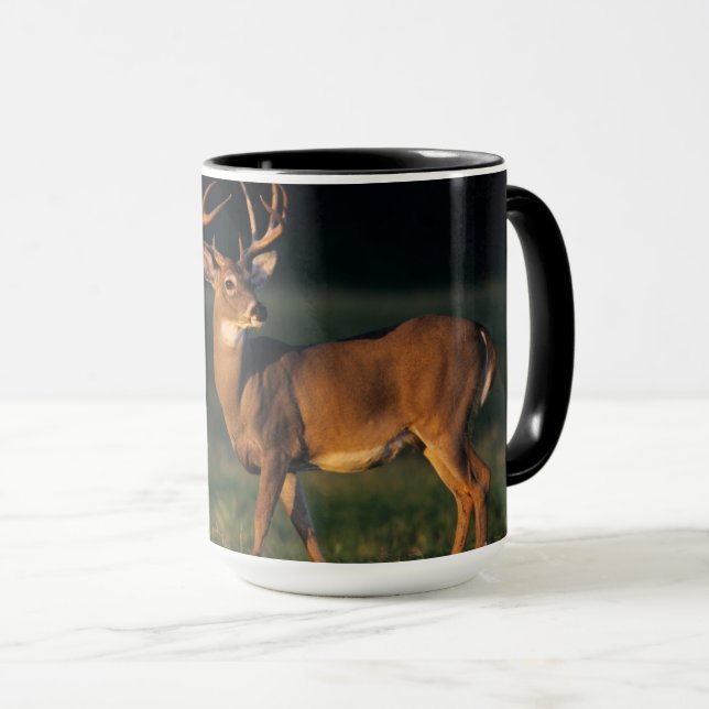 Vitskalig Hjort | Choke Canyon State Park, TX Mugg (Framsida höger)