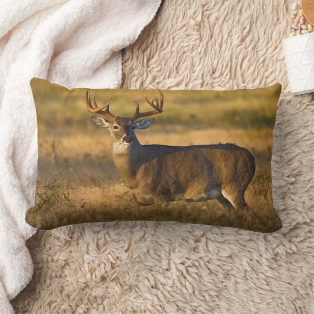 Vitskalig Hjort | SydTexas Lumbarkudde (Filt)