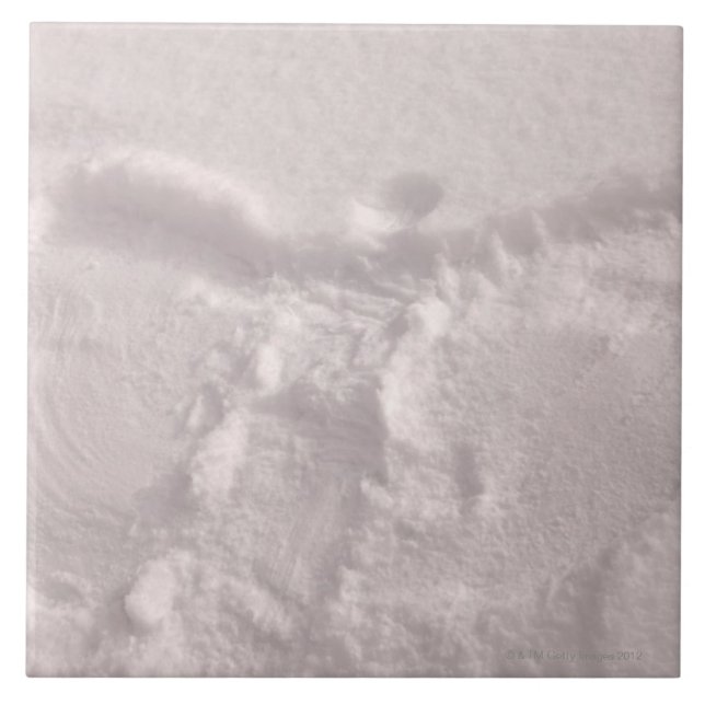 Vitsnö imprinted med en snöängel kakelplatta (Framsidan)