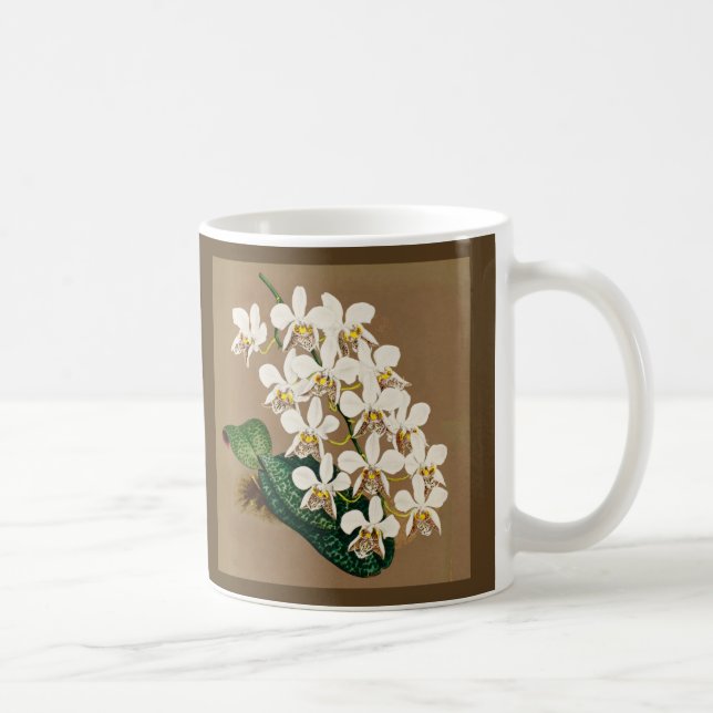 Vitsord Botaniskt utskrift, Tan Background Kaffemugg (Höger)