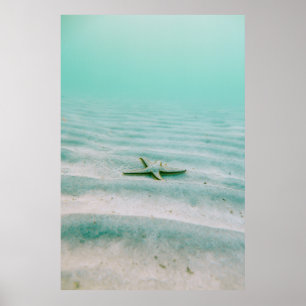 Vitstjärt på sand under vatten på morgonen poster