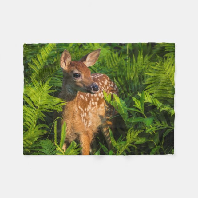 Vitstjärtad Hjort Fawn | Minnesota Fleecefilt (Framsidan (Horisontell))