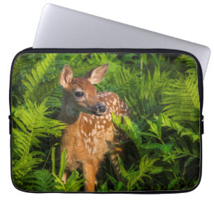 Vitstjärtad Hjort Fawn Minnesota Laptop Fodral