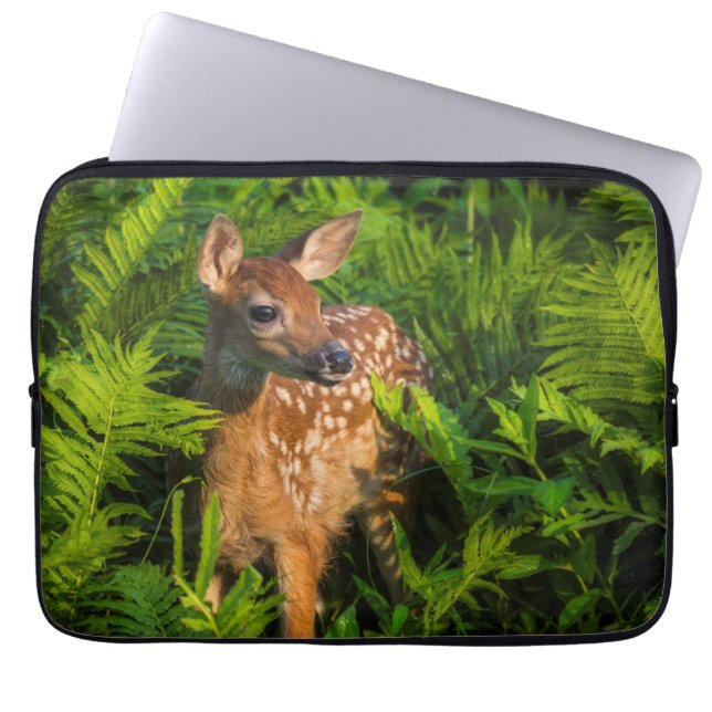 Vitstjärtad Hjort Fawn | Minnesota Laptop Fodral (Framsidan)