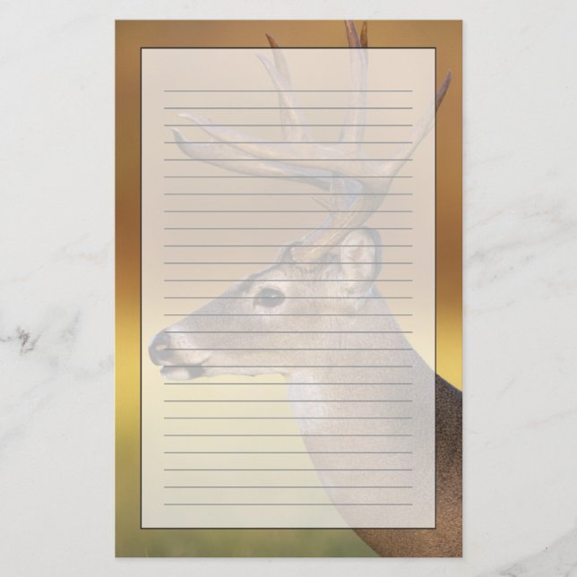 Vitstjärtad hjort, Odocoileus virginianus, Brevpapper (Framsida)