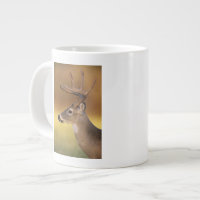 Vitstjärtad hjort, Odocoileus virginianus,
