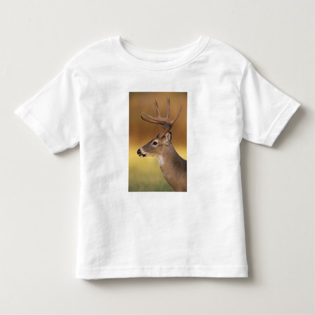 Vitstjärtad Hjort, Odocoileus virginianus T Shirt (Framsida)